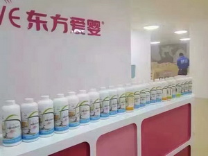 “東方愛嬰”大型除甲醛項目